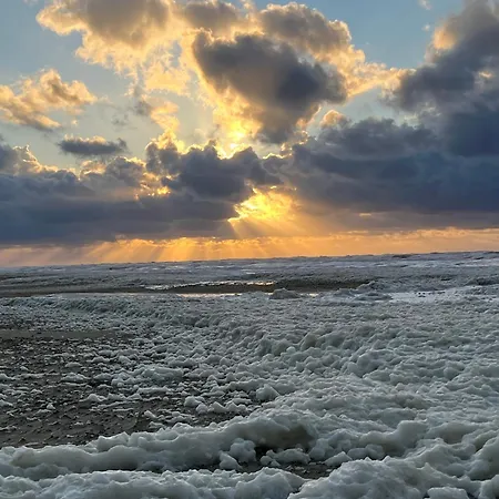 Sander's Hoeft Appartments - Direkt Am Strandaufgang *